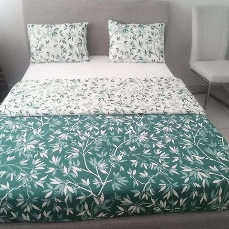 Location D'Appartement Entierement Meuble Pres De Geneve 안마스 외부 사진