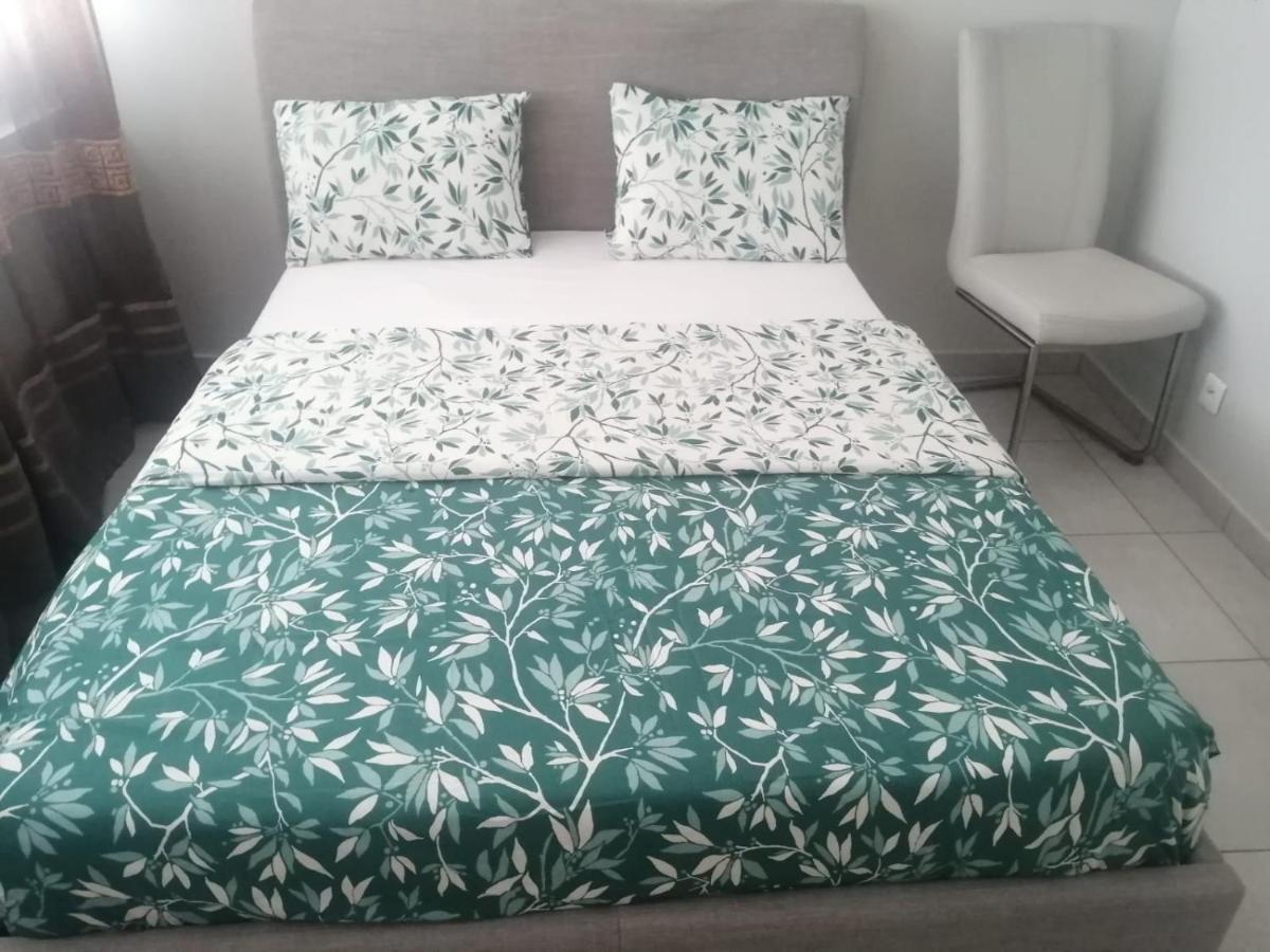 Location D'Appartement Entierement Meuble Pres De Geneve 안마스 외부 사진